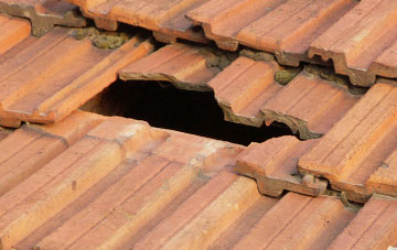 roof repair Glenview, Argyll And Bute